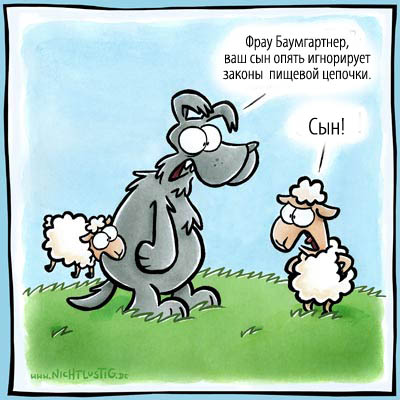 081009rus.jpg