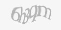 Защитный код